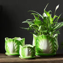 Axyaa Cabbage Flowerpot: Creative Cartoon Vegetable Basin with Tray - Garden Vase