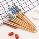 Axyaa Bamboo & Wood Chopsticks Set - Non Slip, Non Moldy, Multi Color