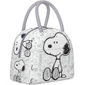 Axyaa Insulated Dog Lunch Box Cooler for Picnic and Food Storage