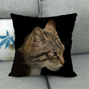 Fat Orange Cat Print Cushion Cover 45x45cm by Axyaa: Animal Pattern Home Decor Pillowcase