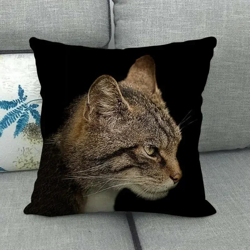 Fat Orange Cat Print Cushion Cover 45x45cm by Axyaa: Animal Pattern Home Decor Pillowcase