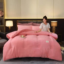 Axyaa Double-Sided Milk Wool Lamb Wool Warm Thick Winter Quilt Core