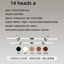 Axyaa Nordic Wind Designer Chandelier for Dining Room, Living Room, Hotel, Bar