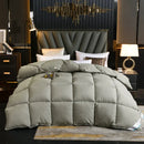 Axyaa Winter Goose Down Duvet Comforter for Single/Double Bed
