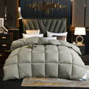 Axyaa Goose Down Comforter Quilted Double Single Size Winter Blanket