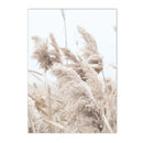 Pampas Grass Canvas Painting Poster by Axyaa - Scandinavian Art for Living Room