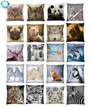 Axyaa 3D Animal Print Cushion Covers (18" x 18") - Cute Collection