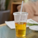 Axyaa Transparent Plastic Drinking Cup with Lid and Straw - Set of 3