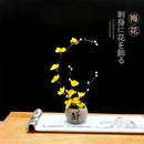 Axya Sashimi Platter with Artistic Plum Blossom Decorative Flowers