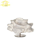 Axyaa Stainless Steel Starry Sky Pendant Light LED Modern Fixture