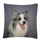 Axyaa Dog Art Print Polyester Cushion Cover for Home Sofa Car Decor