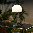 Axyaa Nordic Glass Hemisphere Desk Lamp with Dual-use Charging Feature