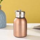 Axyaa 300ML Stainless Steel Travel Mug, Insulated Mini Cup, Portable & Customizable