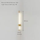 Axyaa Slim Indoor Wall Sconce Light Fixture
