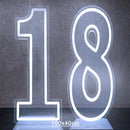 Axyaa Neon Double Digit Acrylic Digital Light for Birthday Party