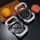 Axyaa Stainless Steel Fruit Cutter & Divider - Ultra-Sharp Apple, Orange, Pear Slicer