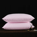 Axyaa Goose Feather Down Pillows - 2 Pack, 100% Cotton, Standard Queen King Sizes