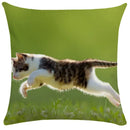 Axyaa Black Cat Bubble Pillow Cases - Premium Animal Cushion Cover for Home Decor