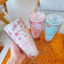 Axyaa Cherry Blossom Straw Water Bottle: Double Layer, Large Capacity Tumbler Cup