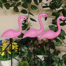 Axyaa Flamingo Solar Garden Lights: Waterproof LED Stake for Outdoor Pathway Decor