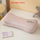 Axyaa Summer Cool Buckwheat Pillow - Ideal for Students and Adults