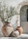 Elegant Olive Tree & Lemon Canvas Poster for Dormitory Home Decor by Axyaa.