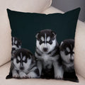 Siberian Husky Pillowcase - Axyaa Pet Sofa Cushion Cover, Decorative Dog Print