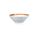 Axyaa Ceramic Millet Rice Bowl Set for Home and Restaurant use