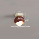 Axyaa Modern Glass Iron LED Ceiling Light for Home Aisle Restaurant Living Room Decor