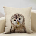 Animal Print Cushion 45x45cm for Sofa, Car Seat & Living Room Decor by Axyaa