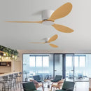 Axyaa Modern Ceiling Fan Remote Control Room Bedroom Without Lights Ventilador De Teto
