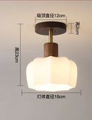 Axyaa LED Glass Ceiling Light Chandelier for Home Living Room Bedroom