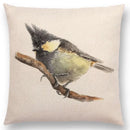 Birds Painting Cushion Cover - Axyaa Collection: Robin, Titmouse, Toucan, Sparrow, Firecrest, Cardinal, Bullfinch