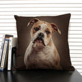 Axyaa Bulldog Dachshund Cushion Cover 45x45cm Square Linen Pillowcase