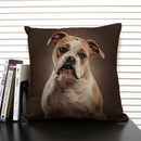 Axyaa Bulldog Dachshund Cushion Cover 45x45cm Square Linen Pillowcase