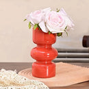 Axyaa Nordic Retro Glass Vase for Hydroponic Plants and DIY Flower Arrangements