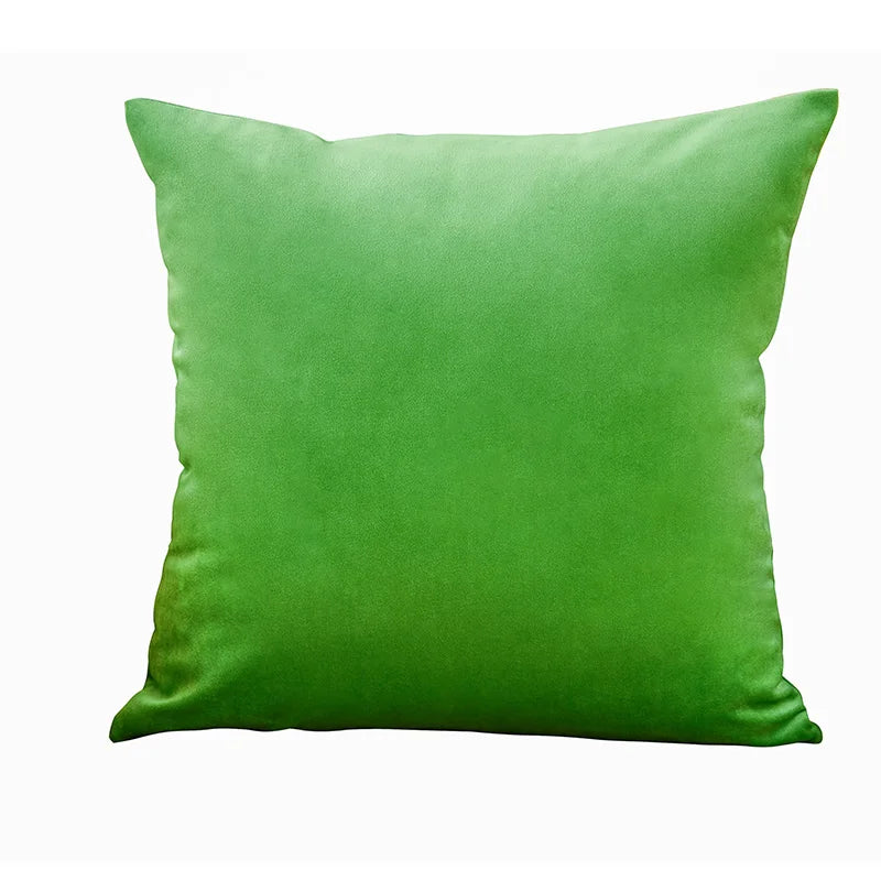 Axyaa Velvet Cushion Cover Set - Vibrant Decorative Throw Pillow Case for Living Room