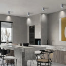 Axyaa Nordic Industrial Gray LED Tube Ceiling Lamps