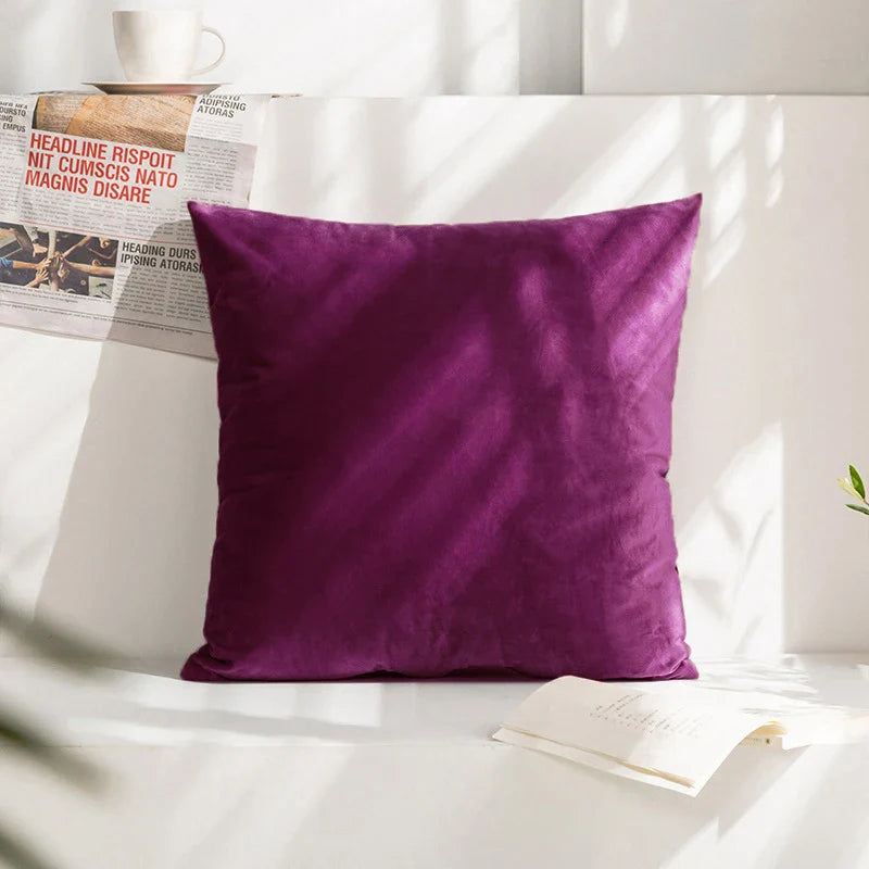 Velvet Cushion Cover for Sofa Living Room, 30x50cm Decorative Pillows by Axyaa