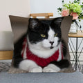 Axyaa Pet Cat Bed Pillowcase - Cute Animal Printed Cushion Cover