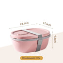 Axyaa Two-Compartment Portable Lunch Box with Detachable Salad Cup.