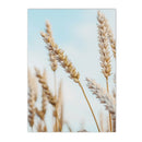 Axyaa Seagull Beach Boat Canvas Art Print for Living Room Decor