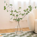Axyaa Tall Glass Vase for Pampas Grass, Modern Floor Decor for Living Room