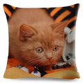 Axyaa Fold Ear Cat Pillow Covers - Set of 2 Cute Pet Pillowcases