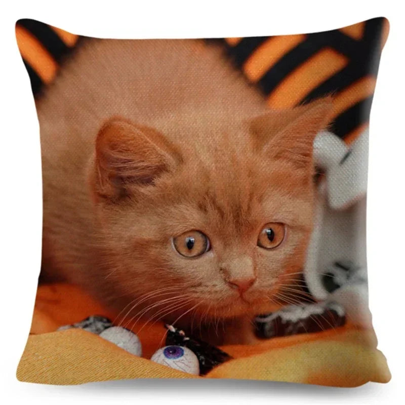 Axyaa Fold Ear Cat Pillow Covers - Set of 2 Cute Pet Pillowcases
