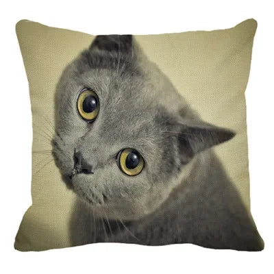 Axyaa British Shorthair Cat Pillow Cover 45X45cm Square Cushion