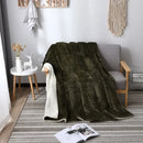 Axyaa Nordic Light Luxury Lamb Wool Flannel Double Layer Thick Quilt Blanket