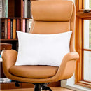 Axyaa White Throw Pillow Inserts - Soft Fluffy Cushion Pads