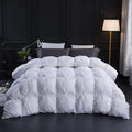 Axyaa King Size Down Comforter, 1200TC Cotton, Premium All Seasons Duvet Insert
