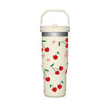 Axyaa 30oz Stainless Steel Insulated Tumbler with Handle and Straw